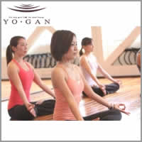 YOGAN���襬�� ���䥹������