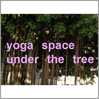 under the tree