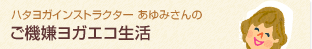 �ϥ��襬���󥹥ȥ饯��������ߤ���Τ������襬��������