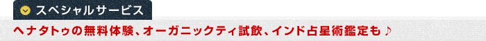 ���ڥ���륵���ӥ� �إʥ��ȥ�����̵���θ����������˥å��ƥ����������������Ѵ�����